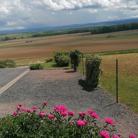 Cosy Avec Jardin, Parking Et Recharge Ve Aux Portes Des Vosges *