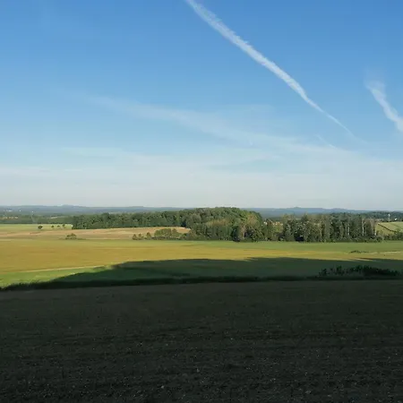 Vakantiehuis Cosy Avec Jardin, Parking Et Recharge Ve Aux Portes Des Vosges - Fr-1-584-16 *