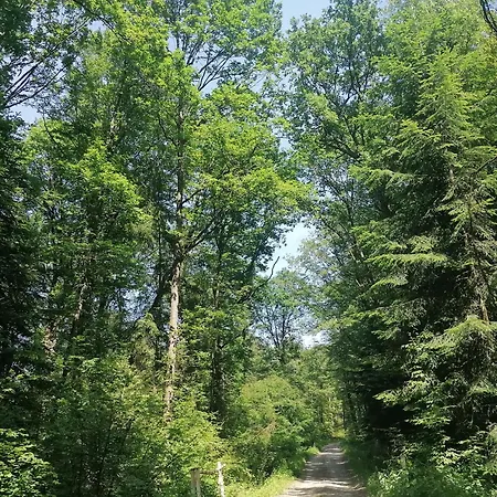 Cosy Avec Jardin, Parking Et Recharge Ve Aux Portes Des Vosges - Fr-1-584-16 * Barbas