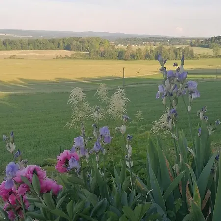 Landhuis Cosy Avec Jardin, Parking Et Recharge Ve Aux Portes Des Vosges Barbas