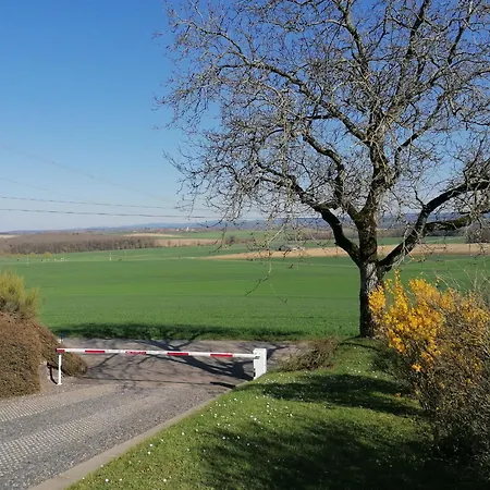 Cosy Avec Jardin, Parking Et Recharge Ve Aux Portes Des Vosges - Fr-1-584-16 펜션