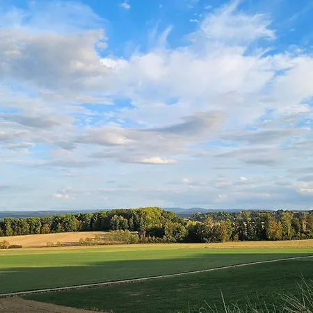 Cosy Avec Jardin, Parking Et Recharge Ve Aux Portes Des Vosges