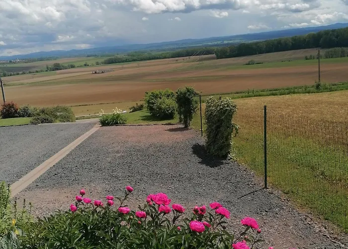 Cosy Avec Jardin, Parking Et Recharge Ve Aux Portes Des Vosges - Fr-1-584-16 *