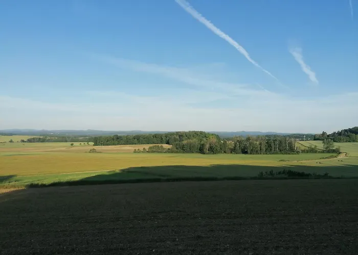 Prázdninový dům Cosy Avec Jardin, Parking Et Recharge Ve Aux Portes Des Vosges - Fr-1-584-16 *