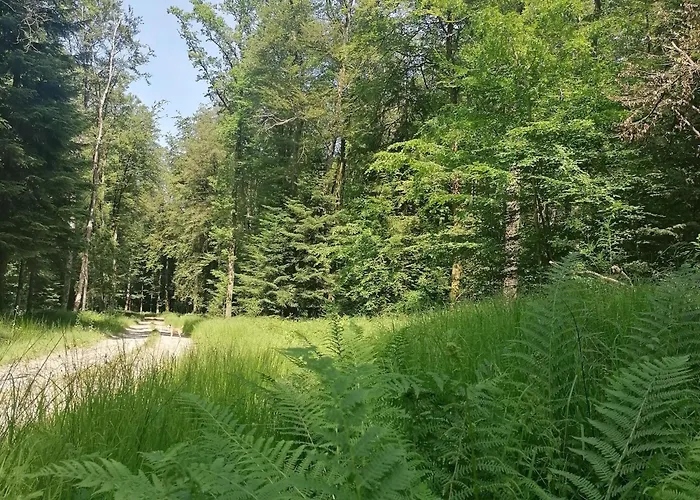 Cosy Avec Jardin, Parking Et Recharge Ve Aux Portes Des Vosges - Fr-1-584-16 Prázdninový dům Barbas