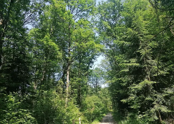 Cosy Avec Jardin, Parking Et Recharge Ve Aux Portes Des Vosges - Fr-1-584-16 * Barbas