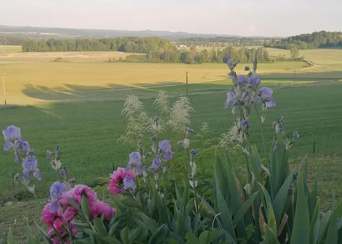Prázdninový dům Cosy Avec Jardin, Parking Et Recharge Ve Aux Portes Des Vosges - Fr-1-584-16 Barbas