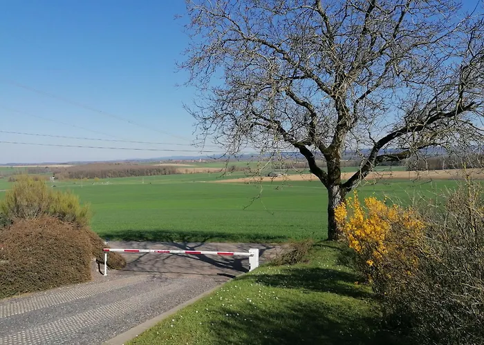 Cosy Avec Jardin, Parking Et Recharge Ve Aux Portes Des Vosges - Fr-1-584-16 Prázdninový dům